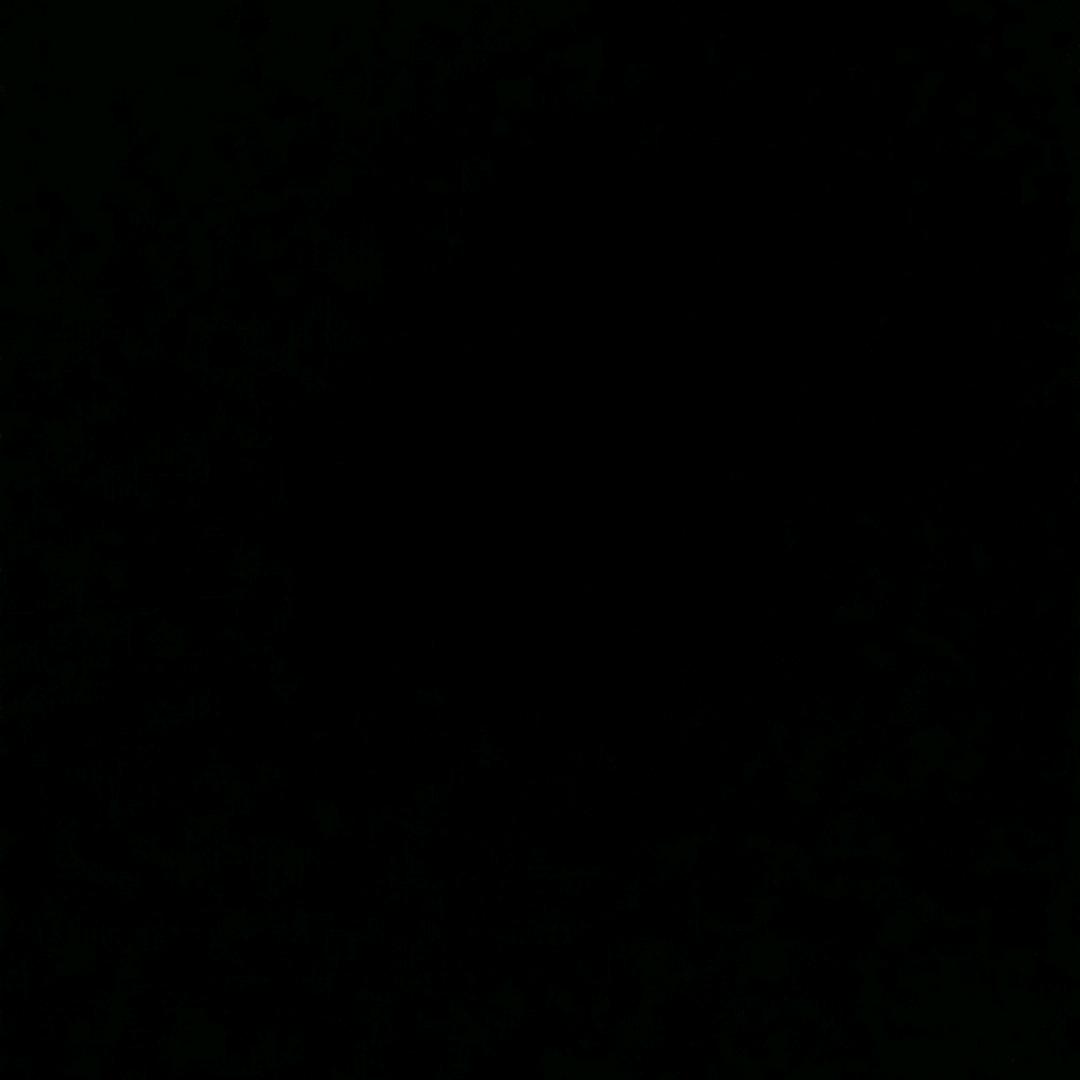 正在努力中……