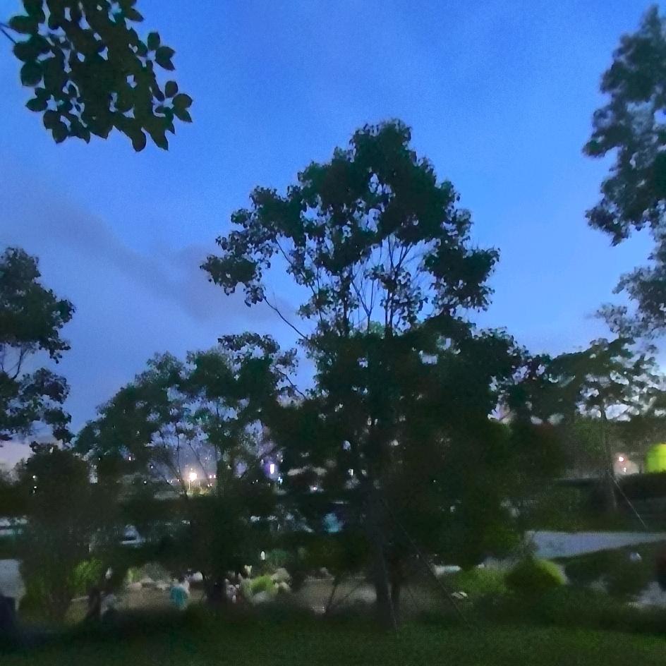 想象中的天空