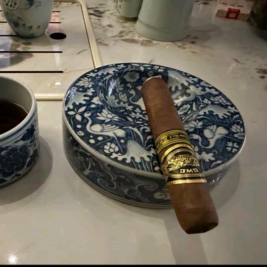 养茄老师～子萱