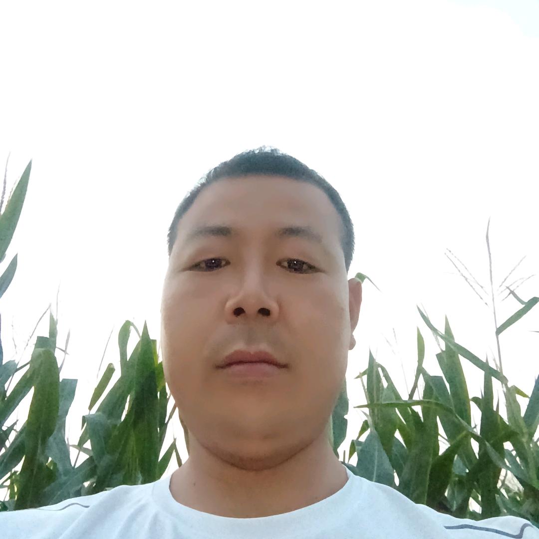 兴平店张万通牧厂