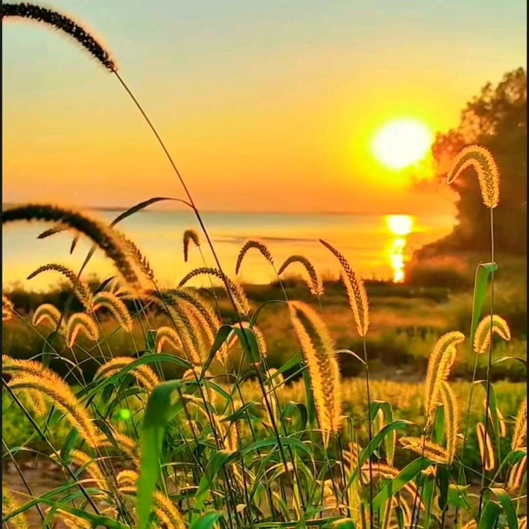 人生是一种态度