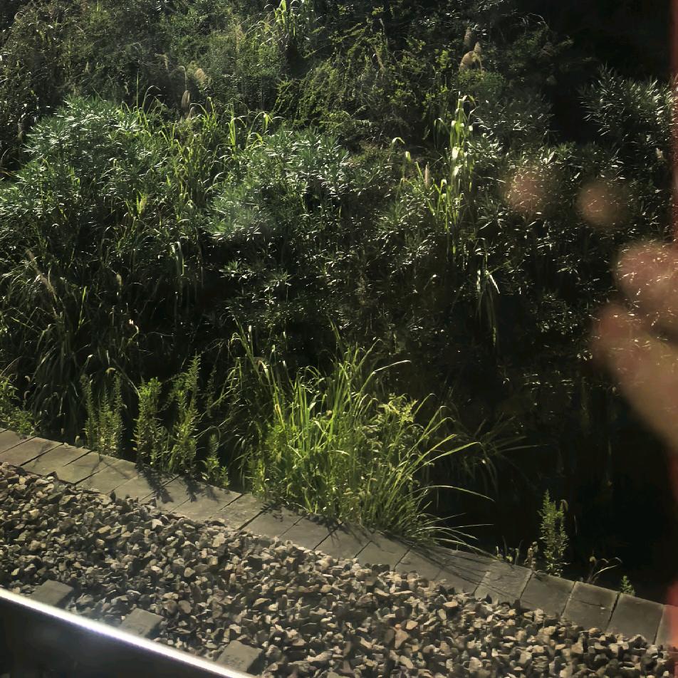 百世轮回、只为今生