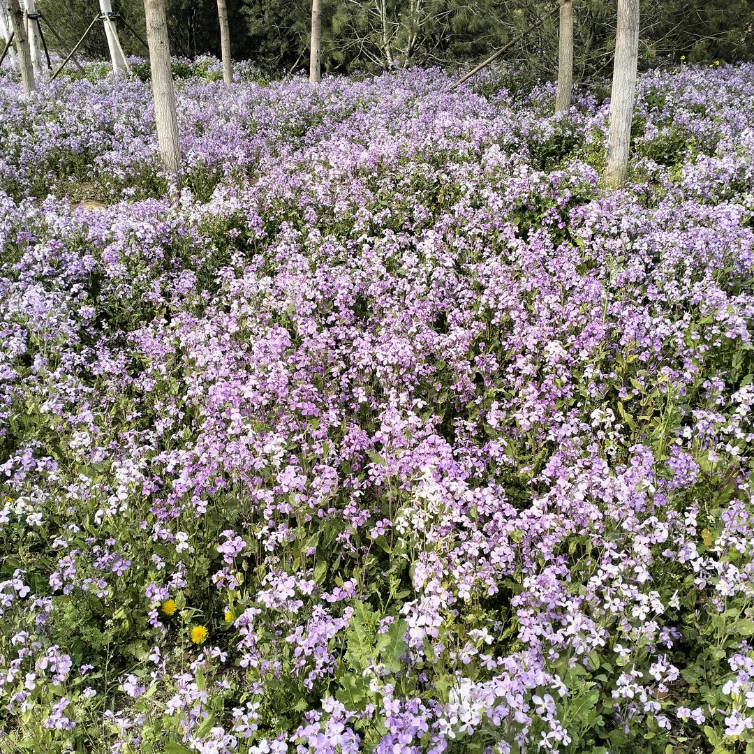 时来运转