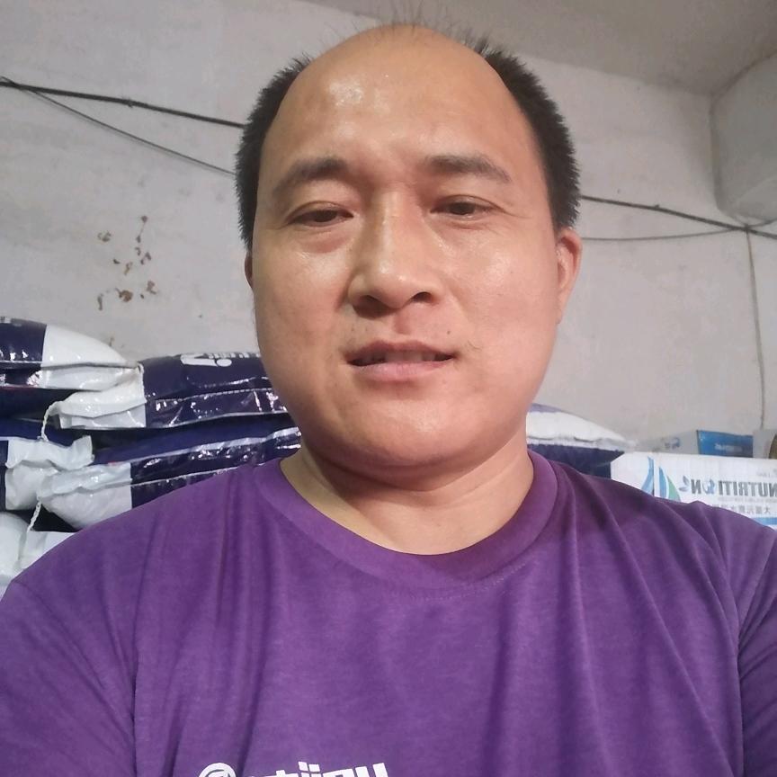 小杨聊西瓜