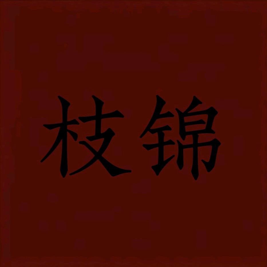 枝锦女装