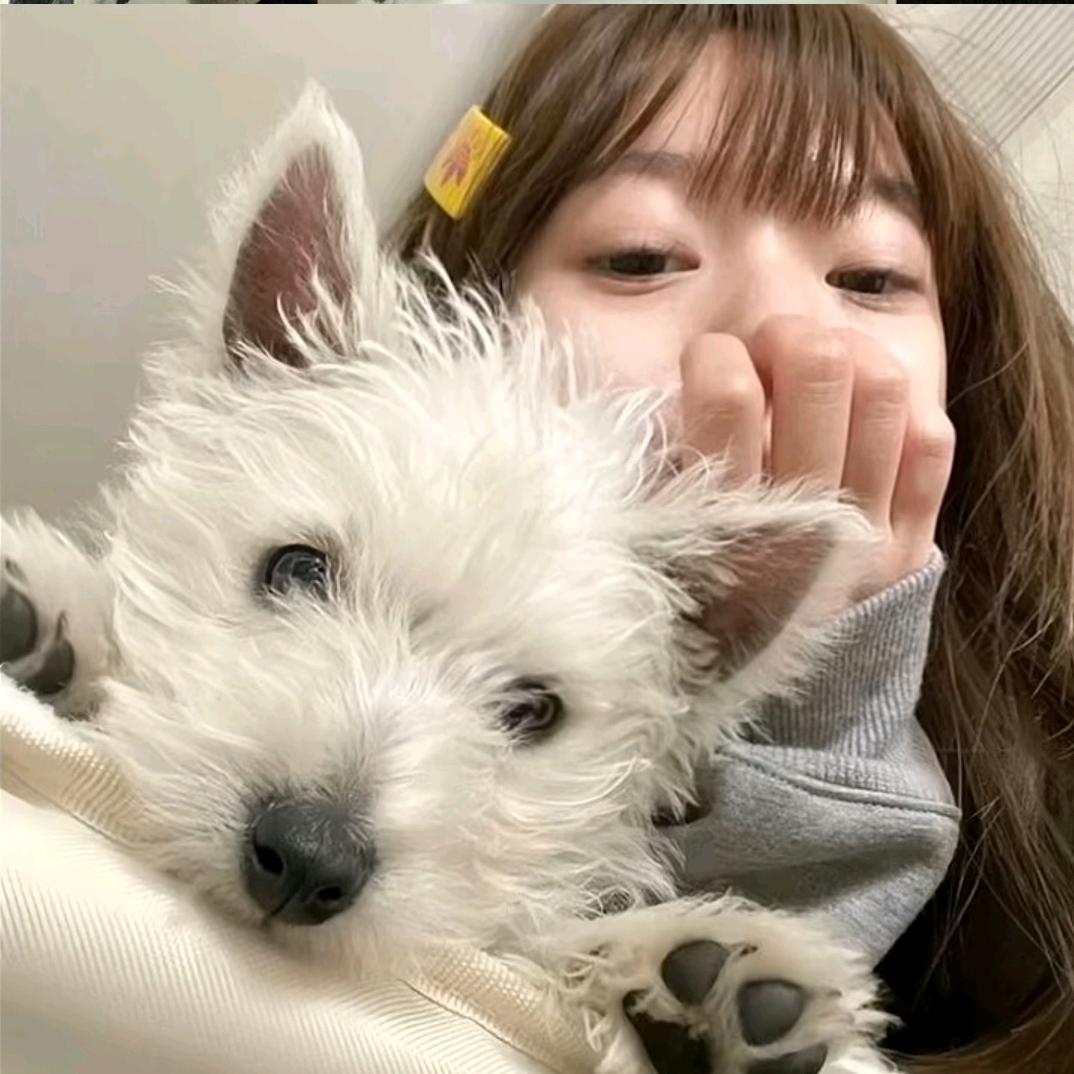 木嘻嘻嘻