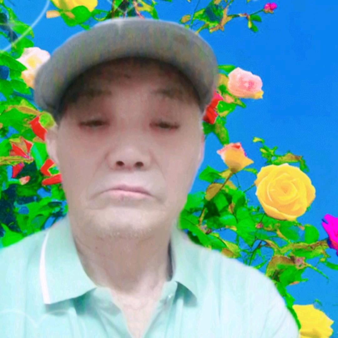 河平。叶保开播晚上7点50开