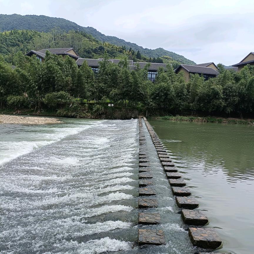 木樨