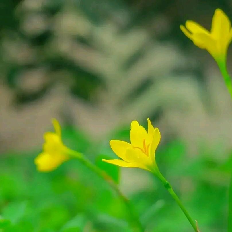 一方净土