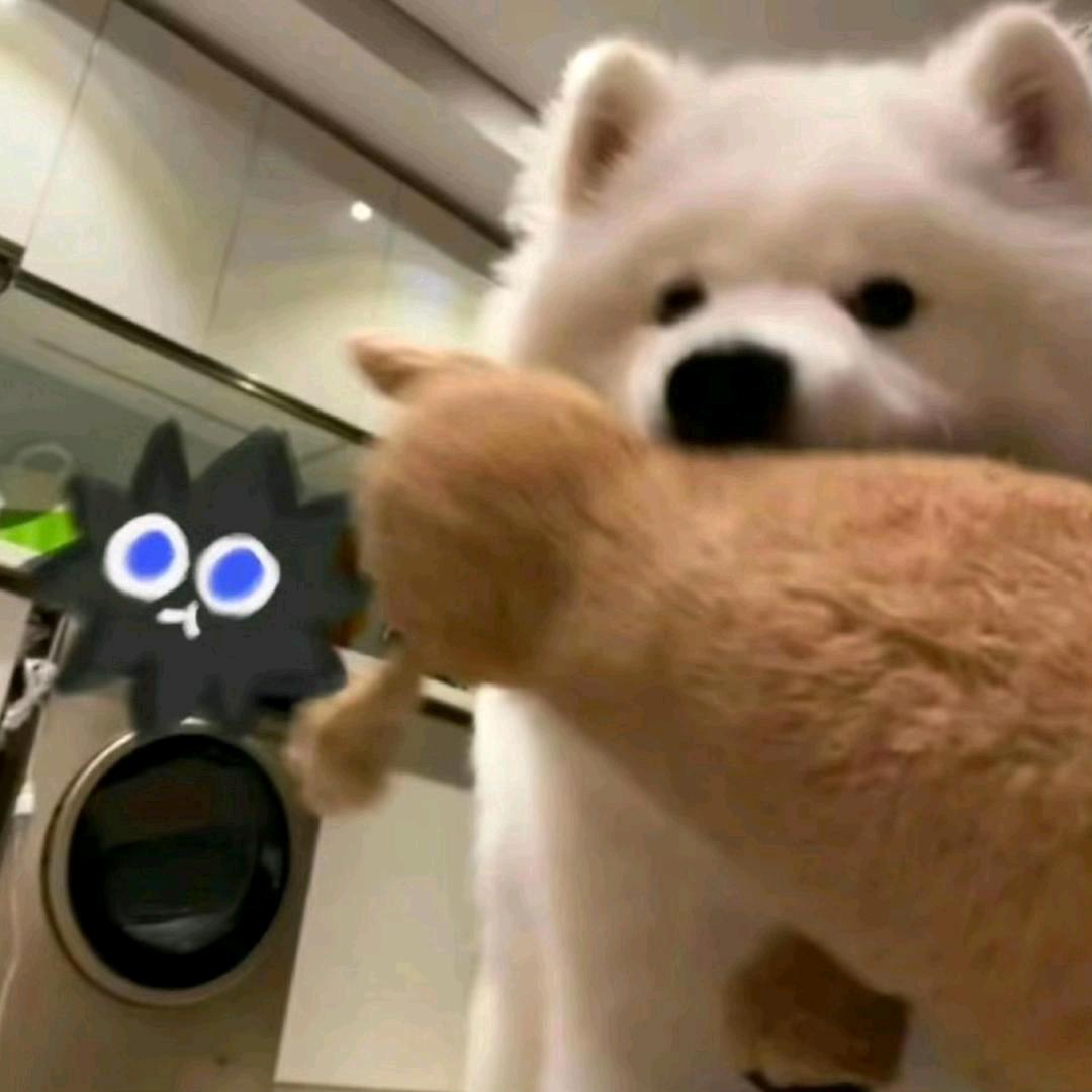 落叶始秋