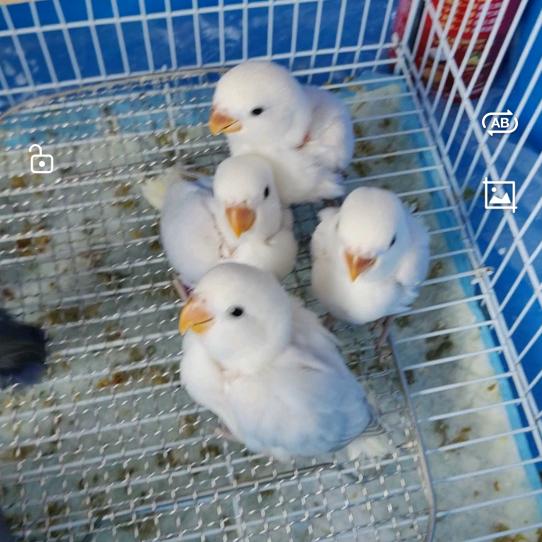 莫问旧人