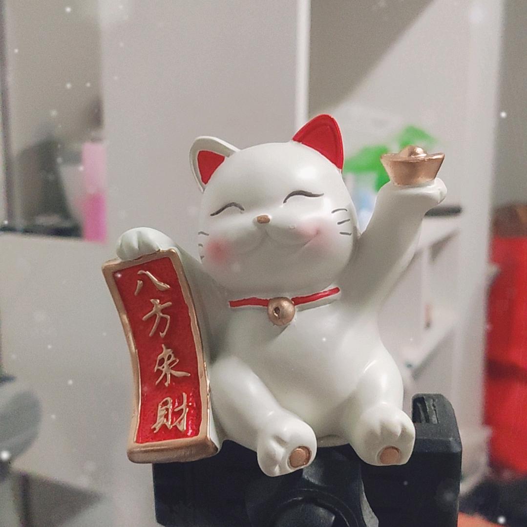 走一步看十步