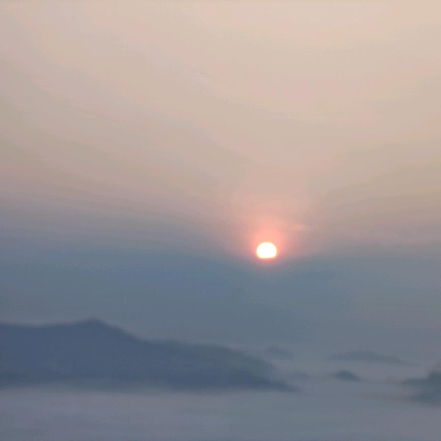 李先生