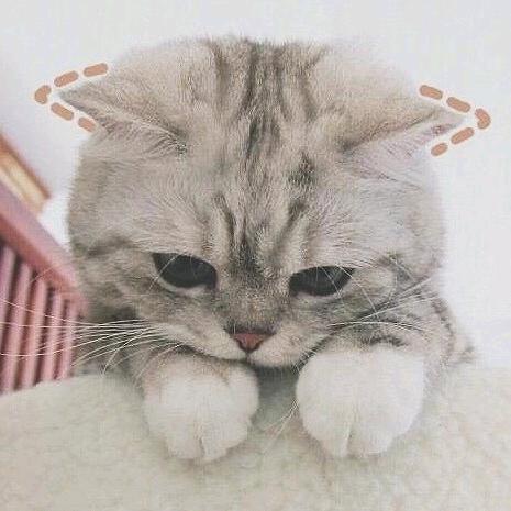 既得少年时