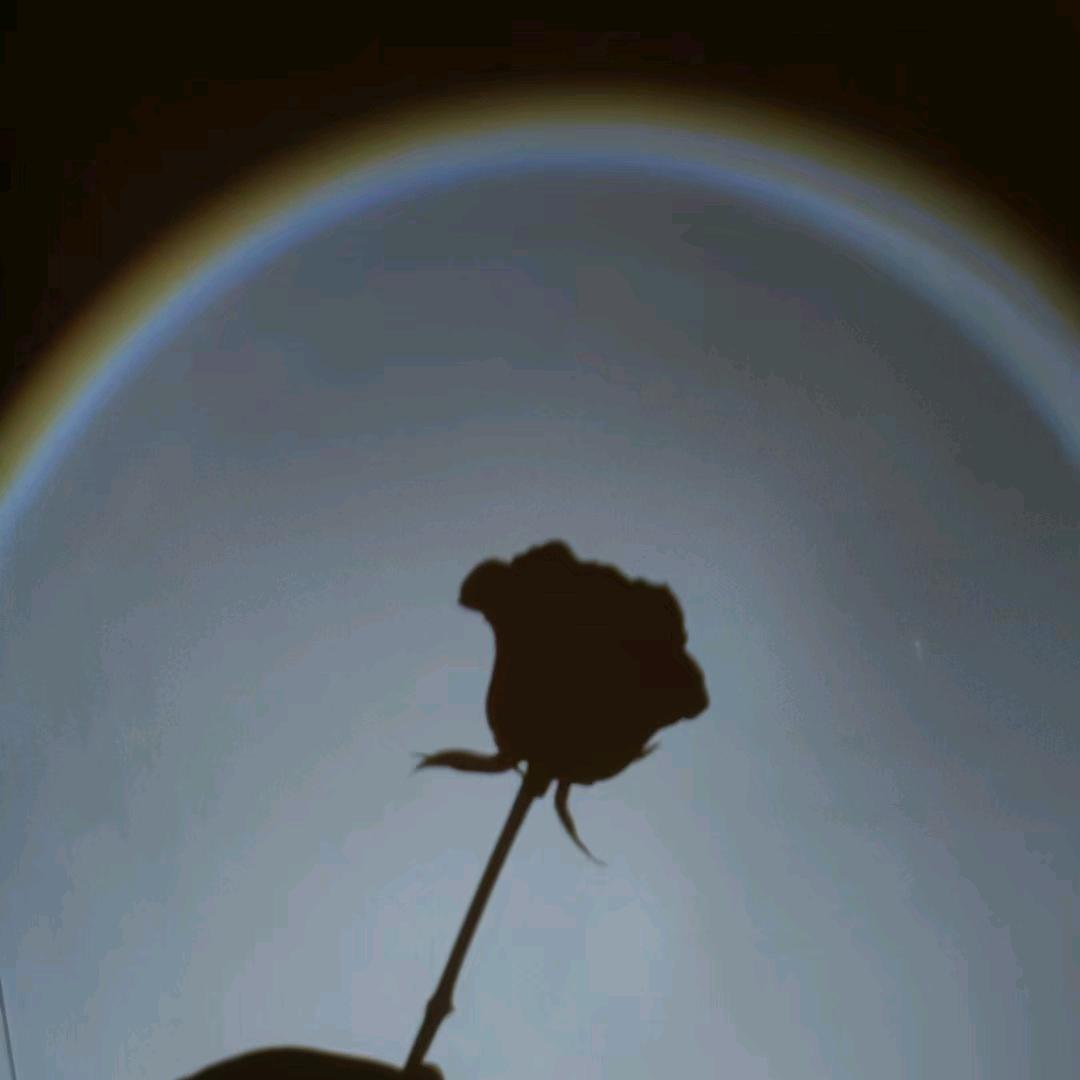姐姐酒馆