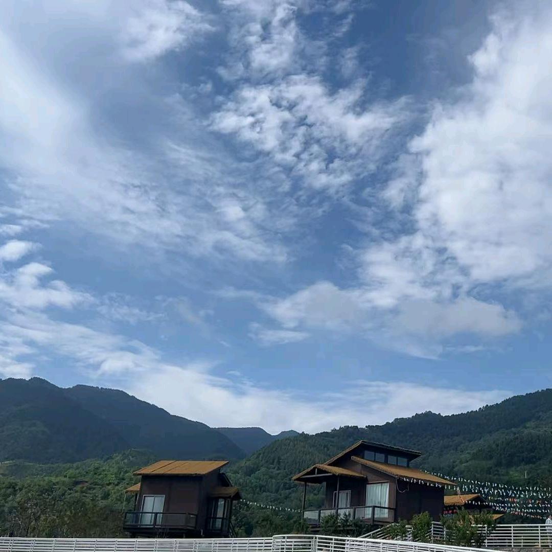 像🌻一样