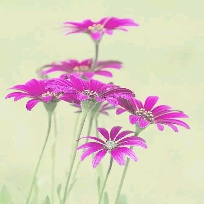 闲院慢生活