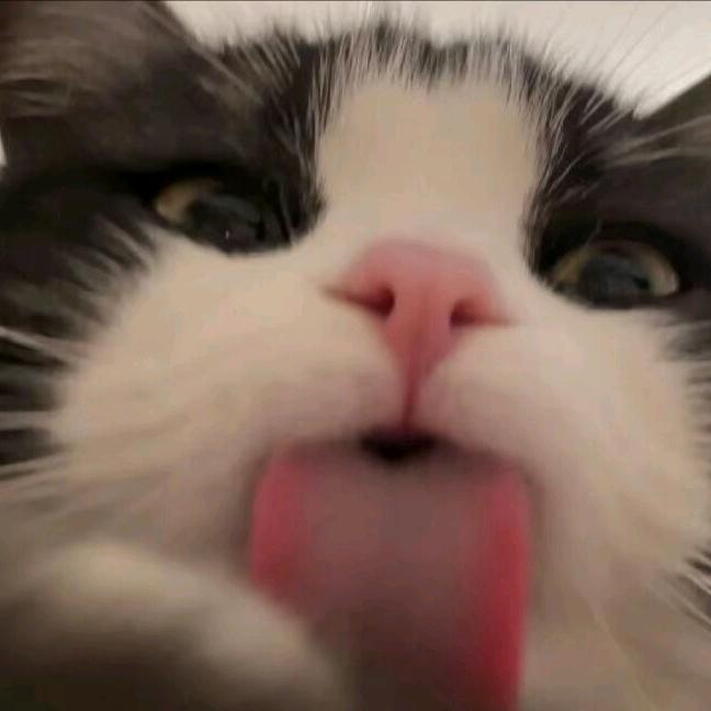 双双