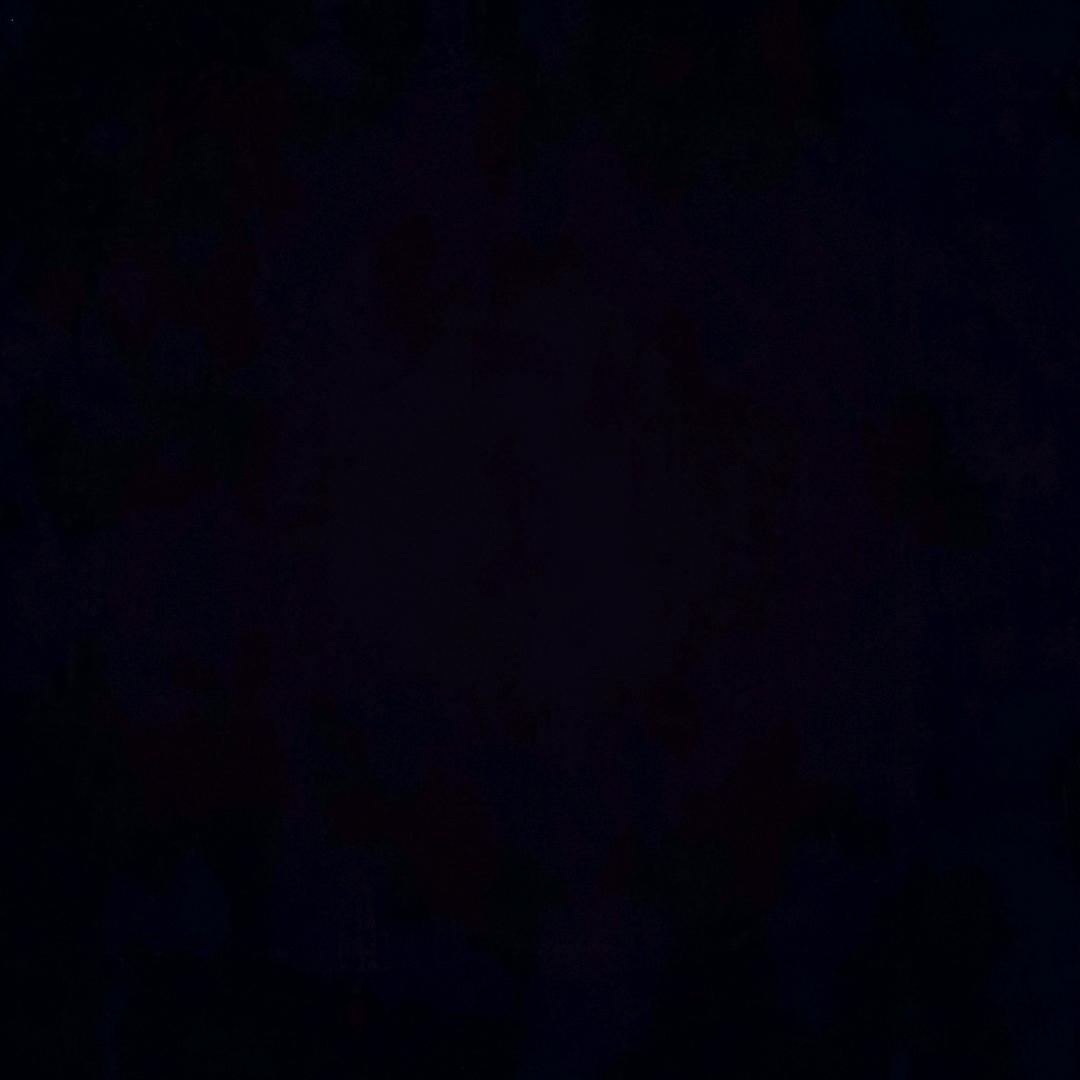 柴火鸡酱料