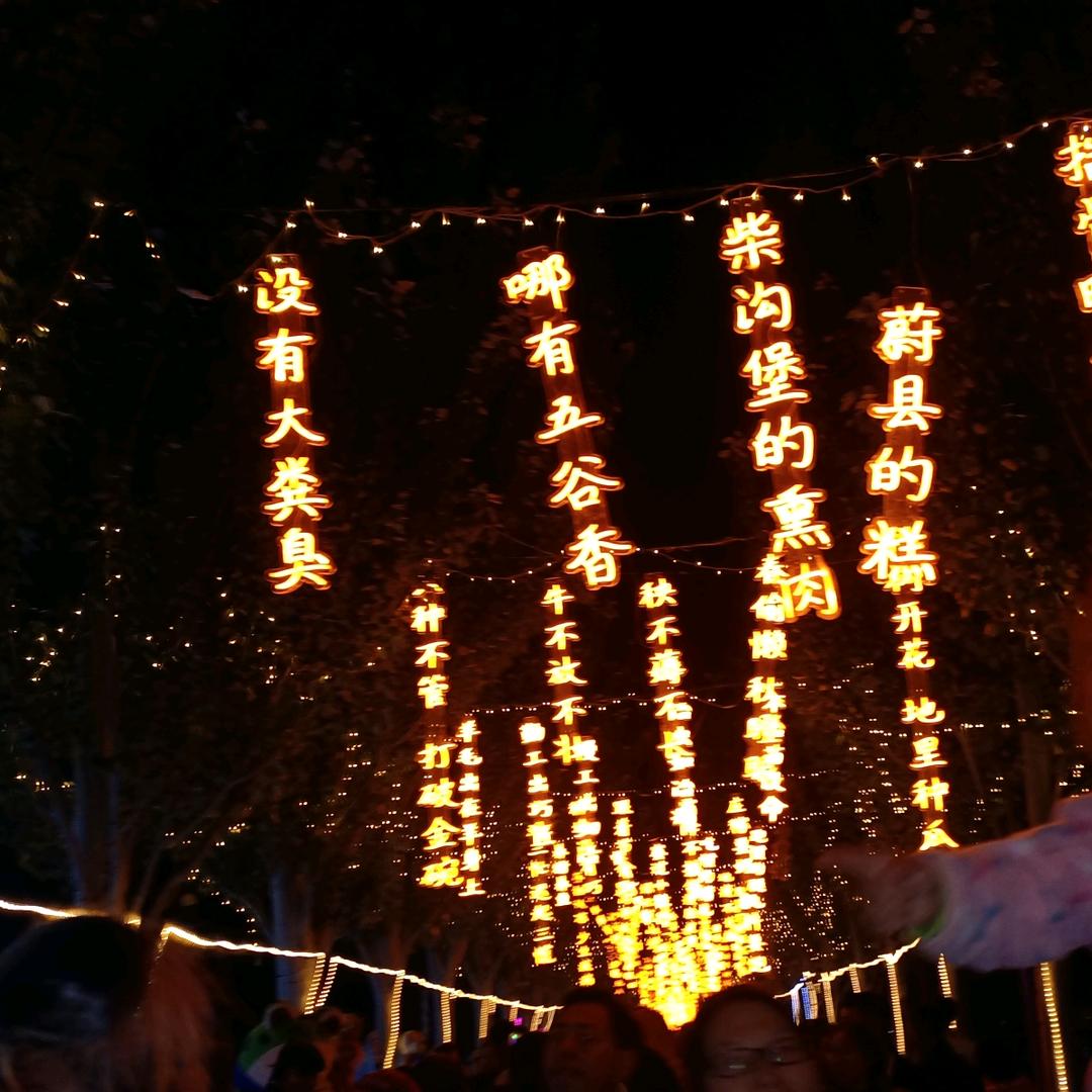 懒懒•