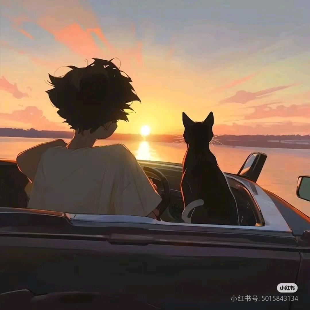 睡眠杨