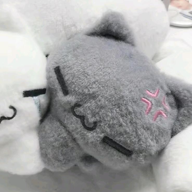 神明导师凛