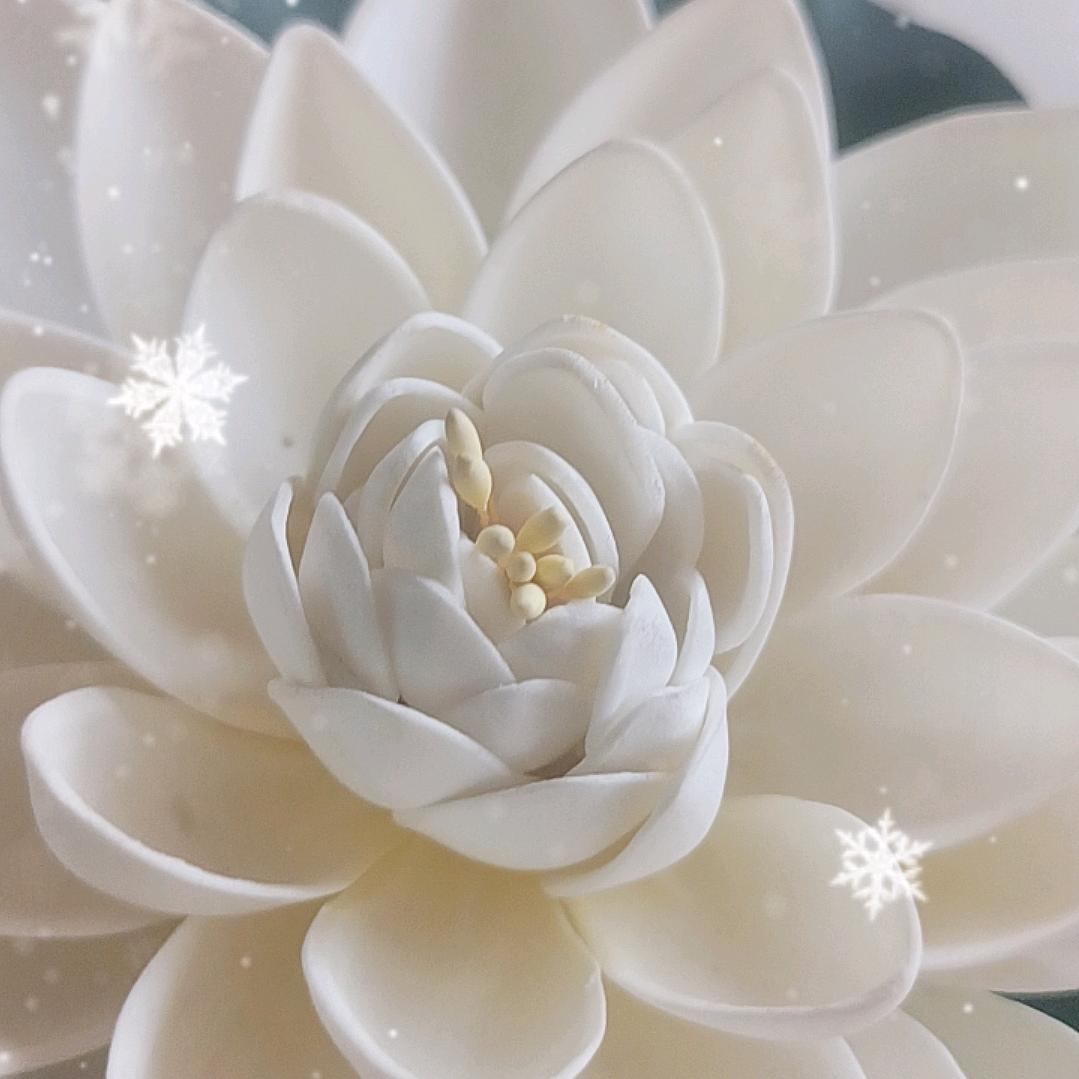 福记臻品