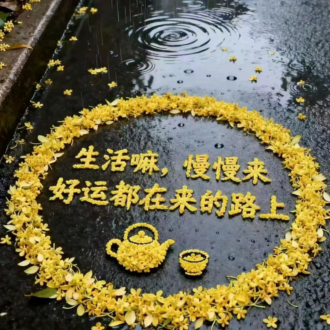 减肥的楚姐