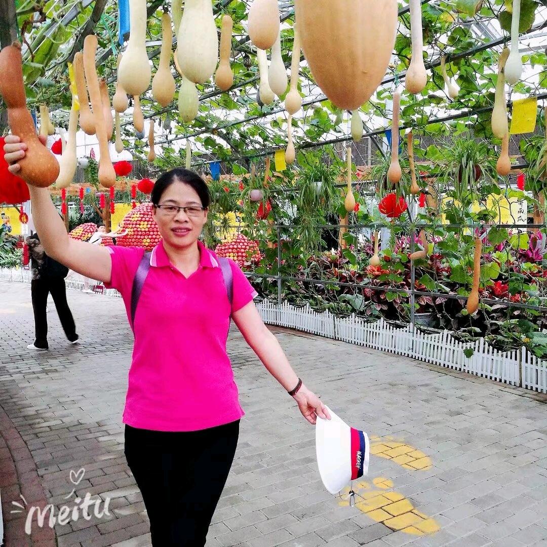 芳芳爱生活