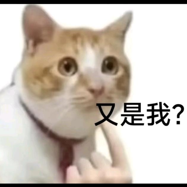 老天保佑（没空学法考版）