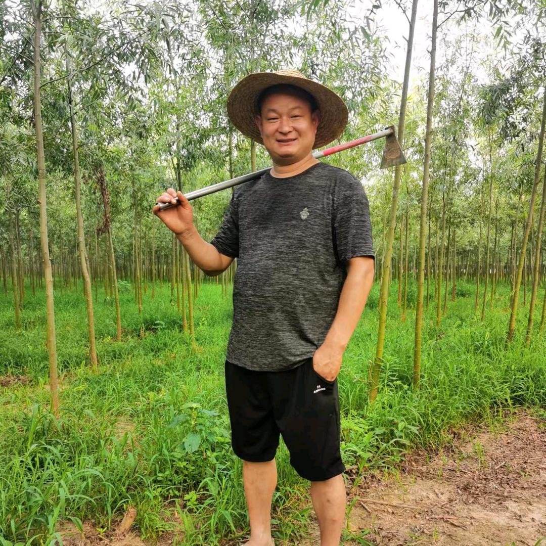 陈佬二 金蝉大王