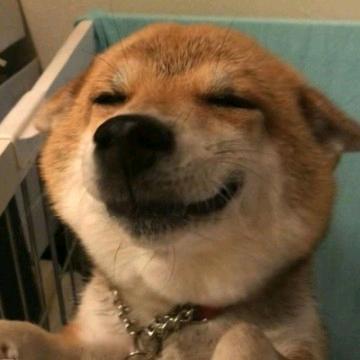 做smile小柴喔头像