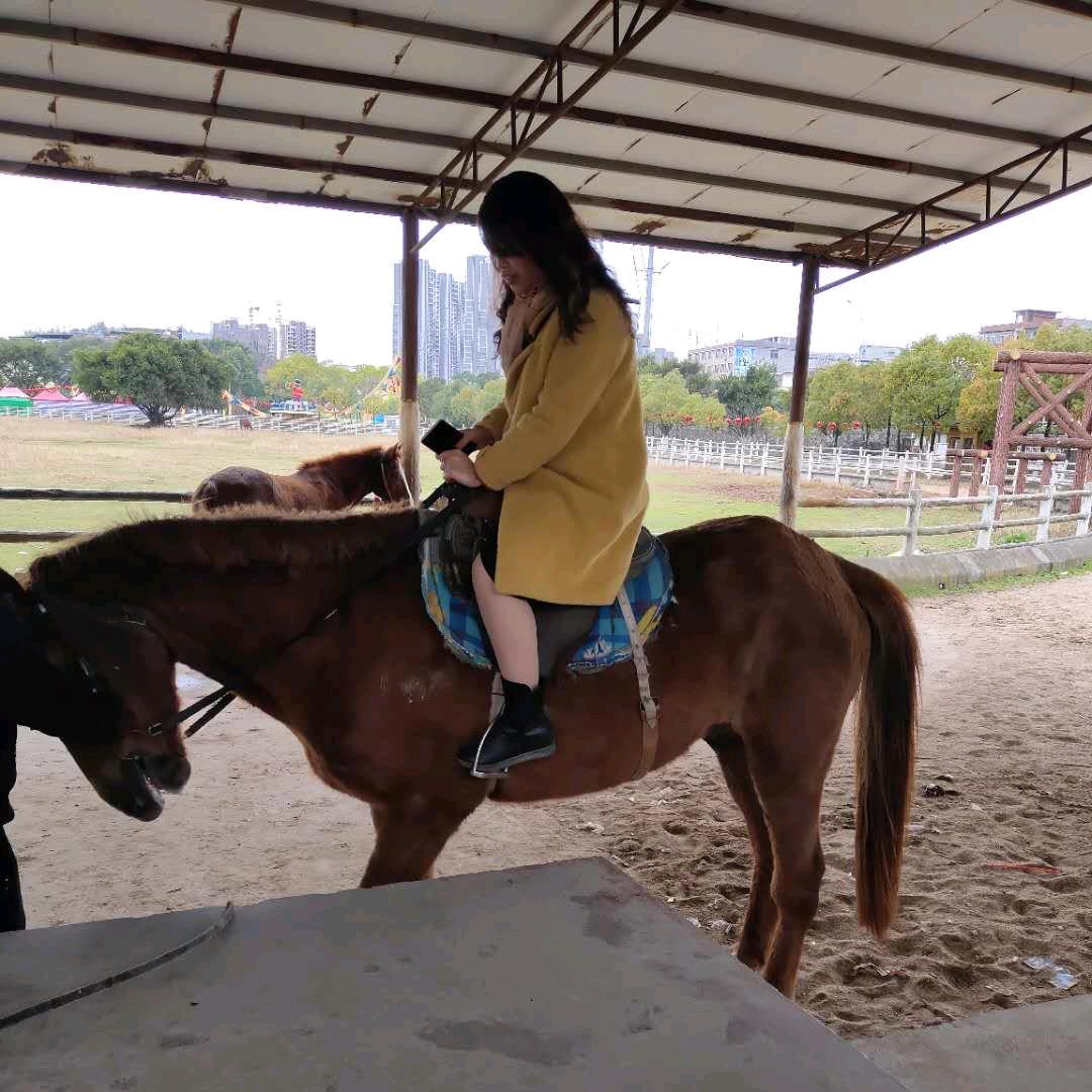 燕儿（好物在橱窗）