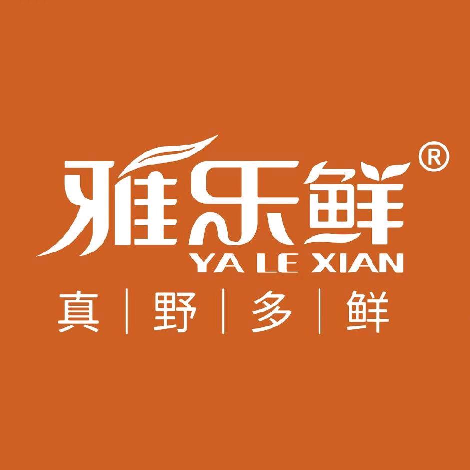 雅乐鲜-小艾