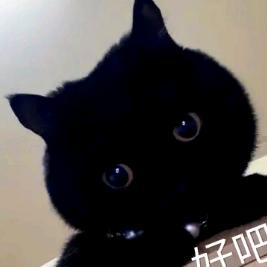 💞 ℒᎭℯ⃝臭宝❤️好多🐟🐬