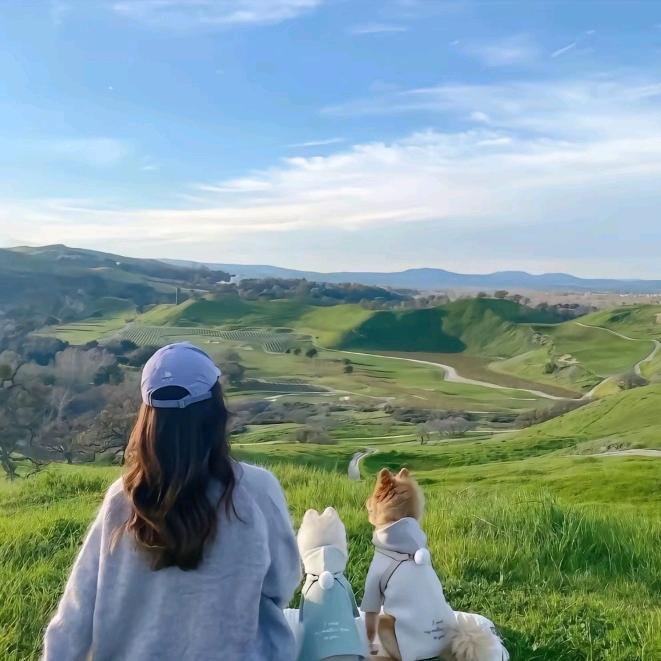 银杏学院顾雅学姐