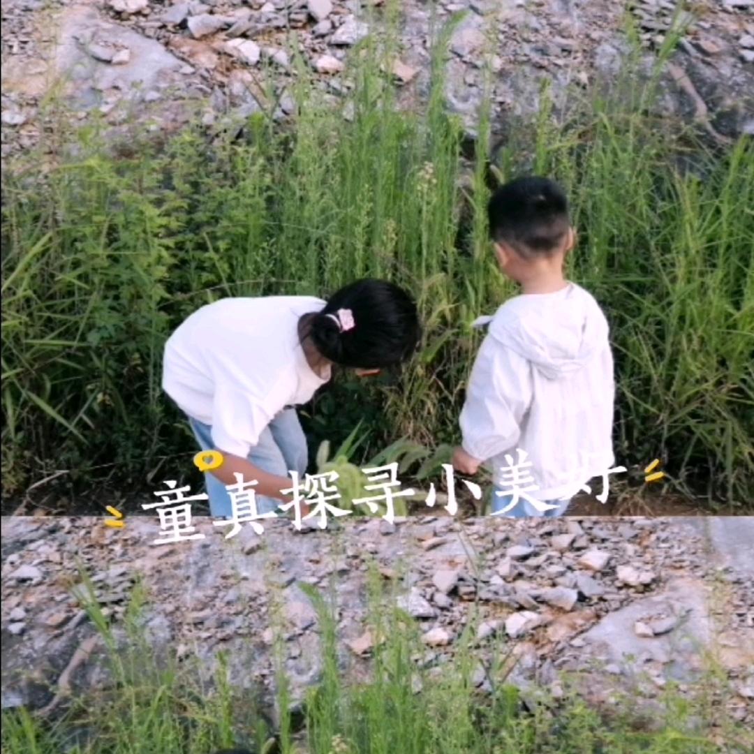 半醉看夕陽