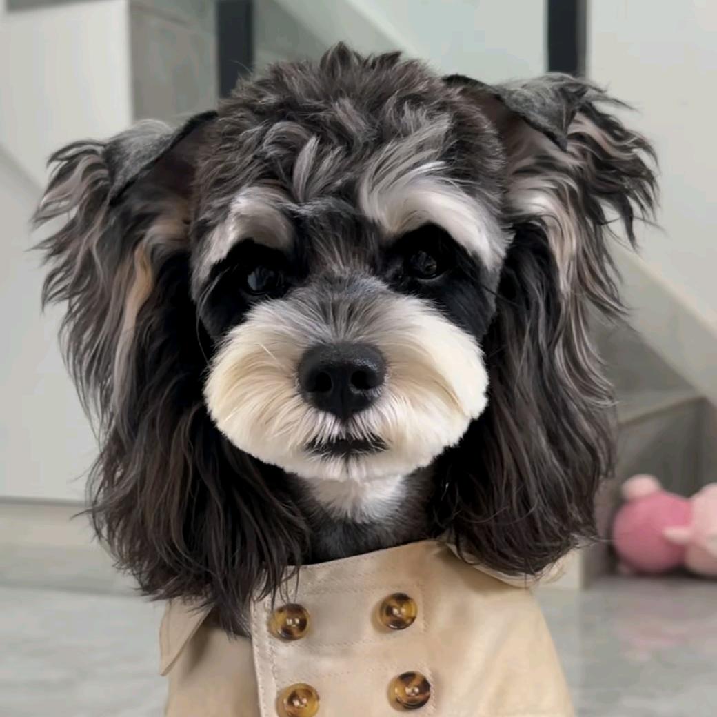 天科。八岁习武【宝宝传媒】