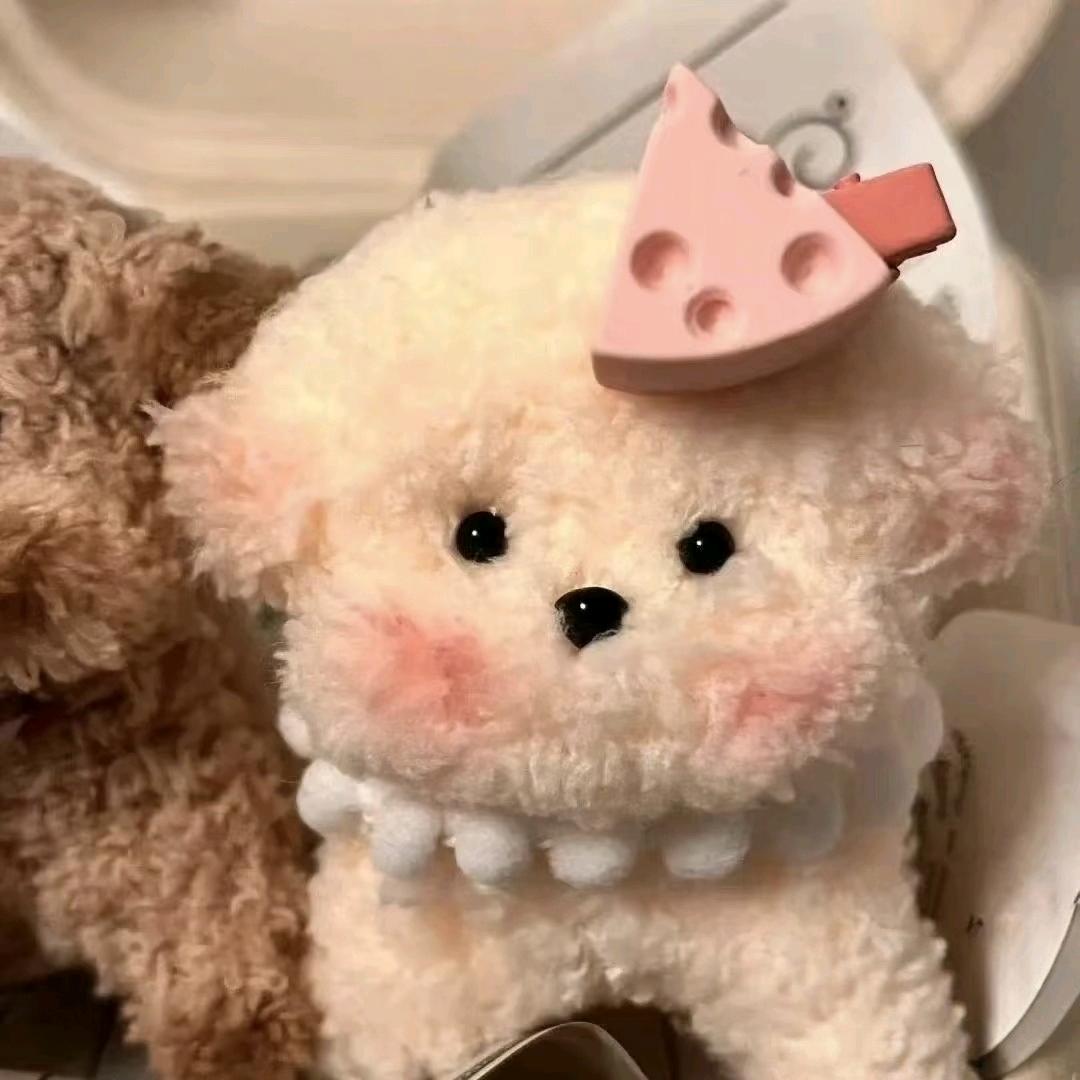 珺cc
