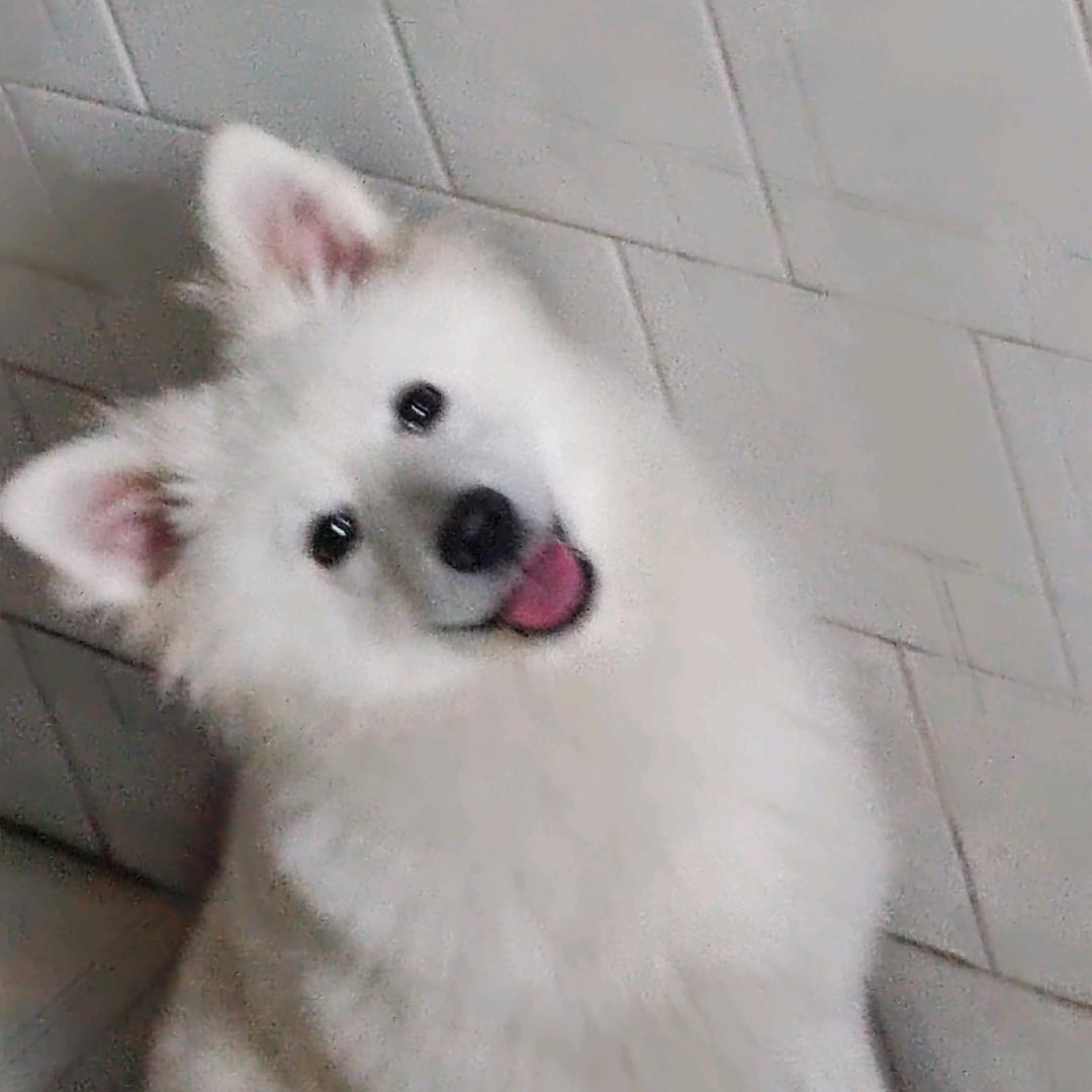 她与晚霞
