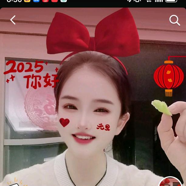 兰博园艺鲜花盆景