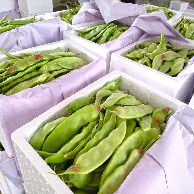 卖蔬菜的小姑娘