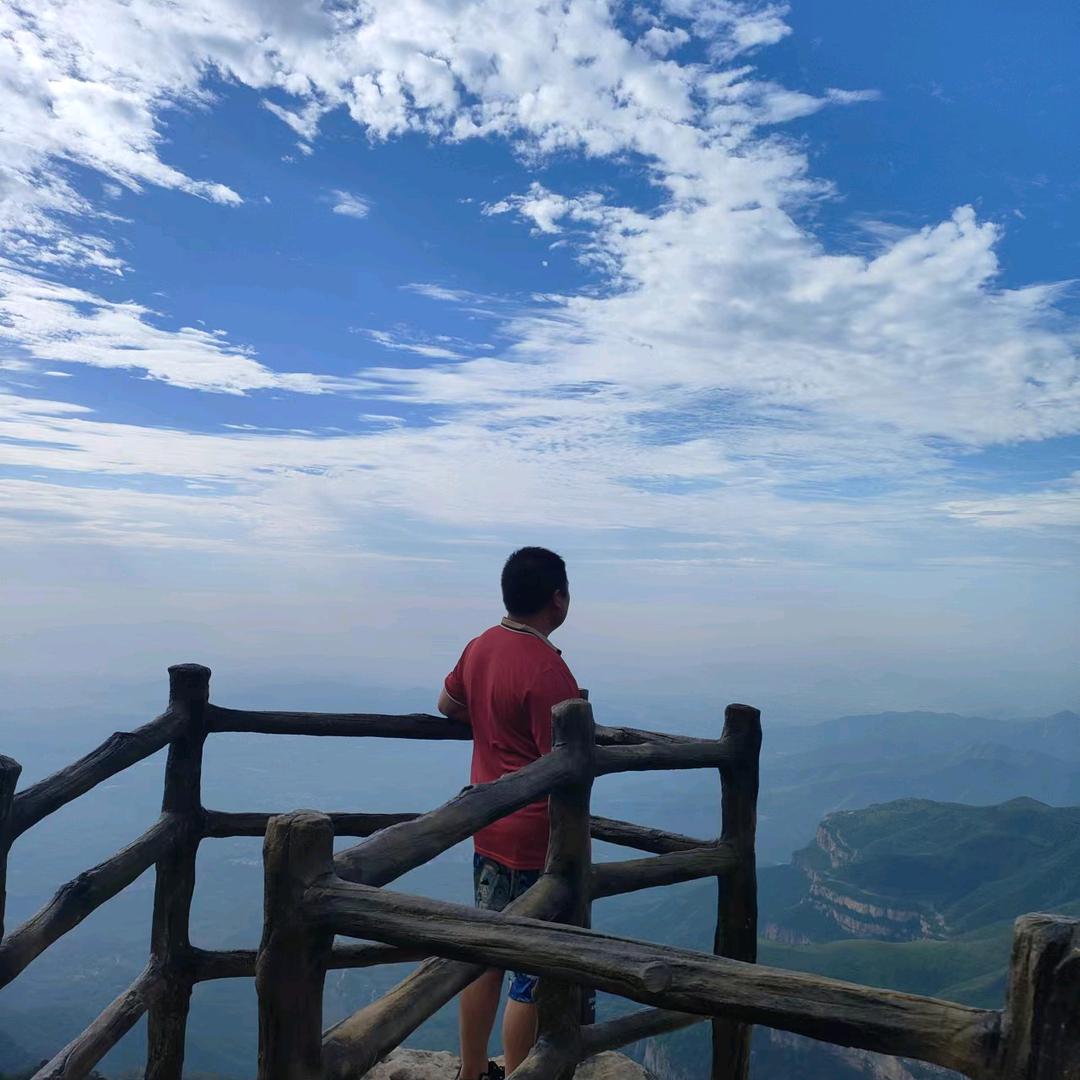 万万宠物服务店