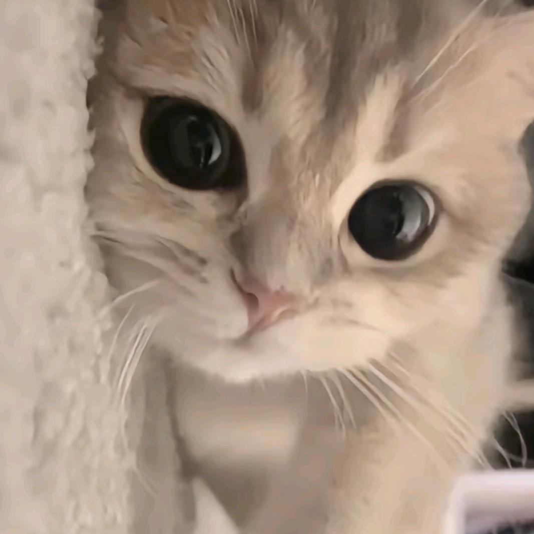 小露