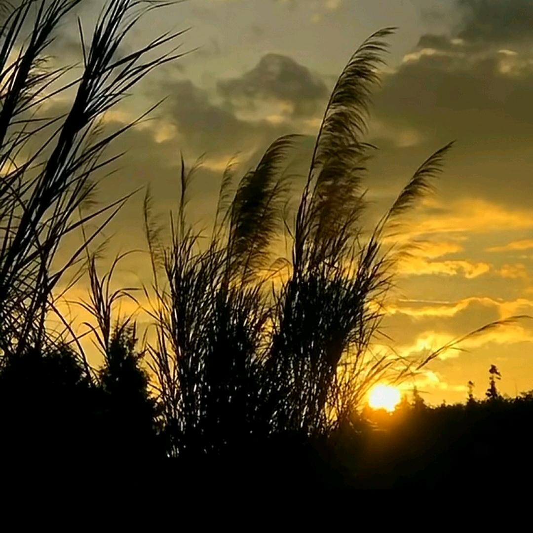 ～(￣酱香拿铁￣)~