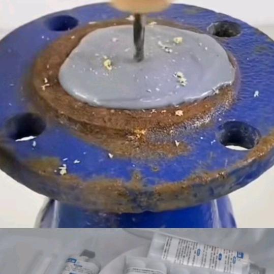 薘鲔