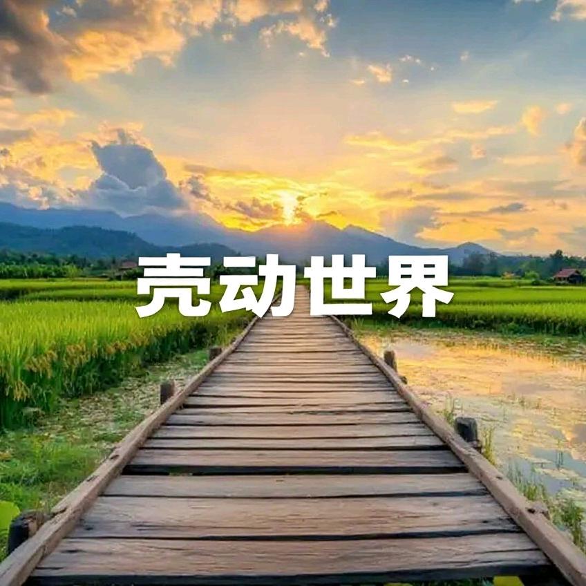 粟都壳多多