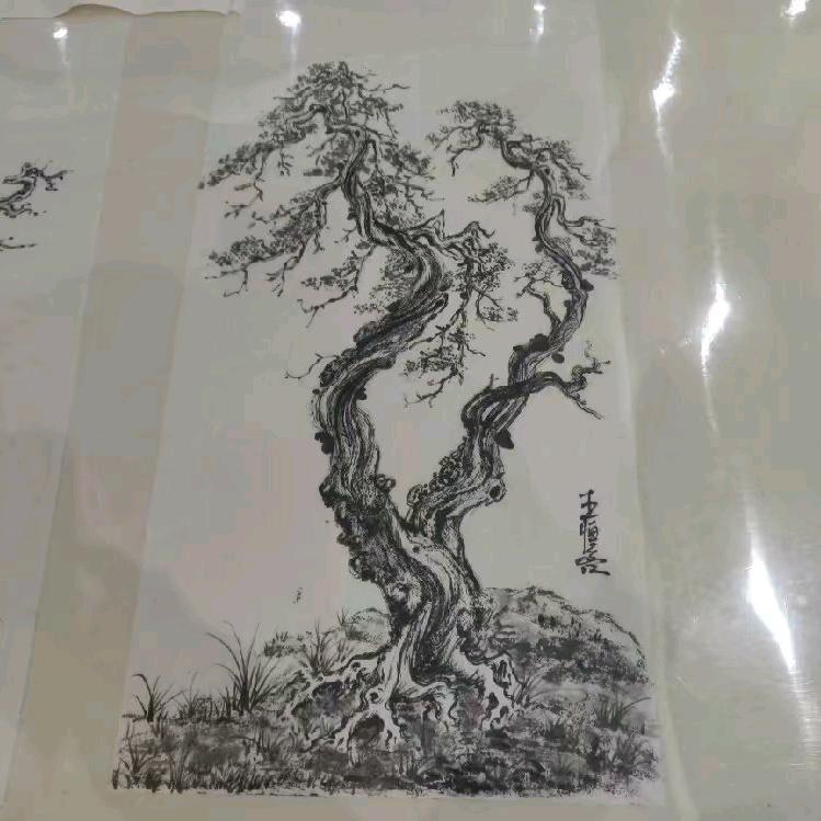 赛盆景园艺
