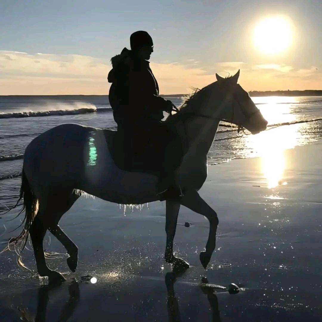 凌晨三点在厕所和蛆博弈九回合险胜