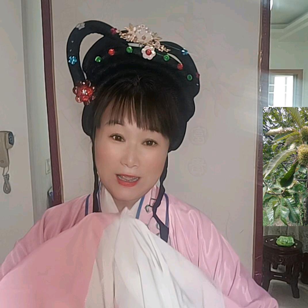 戏迷乐学